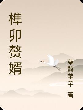 榫卯贅婿