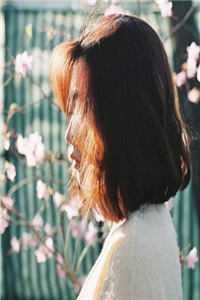 夢中清歌與君同